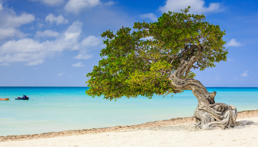 A luxurious modern home in Aruba with a pool overlooking the ocean at sunset