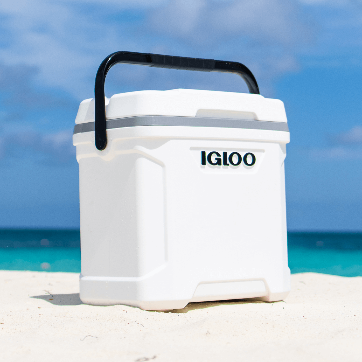 Beach Cooler 30qt