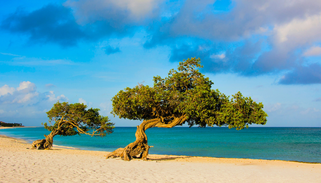 Aruba weather and climate - Best time to visit