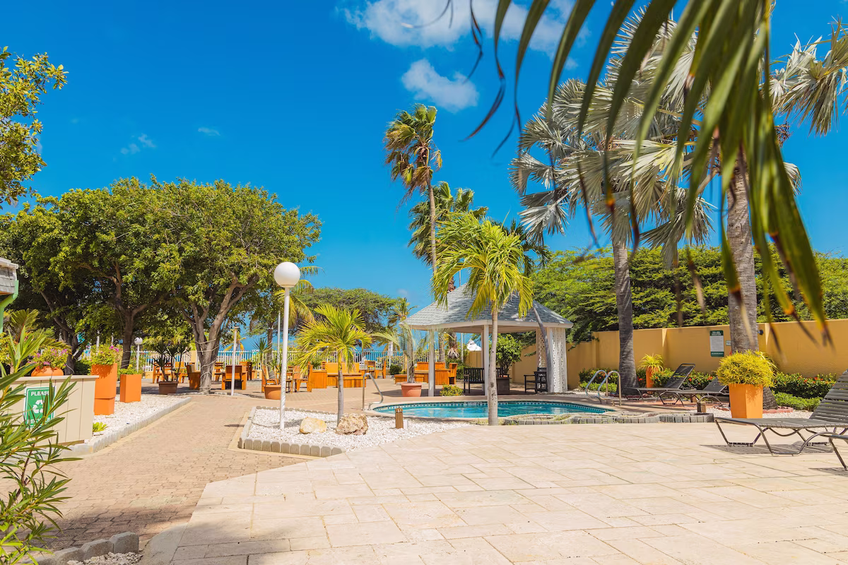 MVC Eagle Beach Aruba