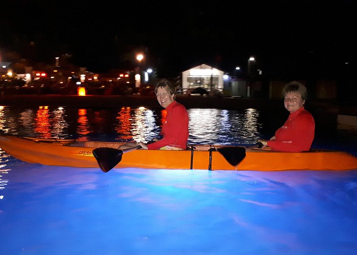 Aruba Night Glass Kayak Tour - Explore marine life after dark