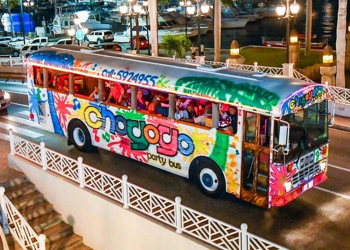 Aruba Nightlife and Barhopping on Chogogo Party Bus - Ultimate party experience