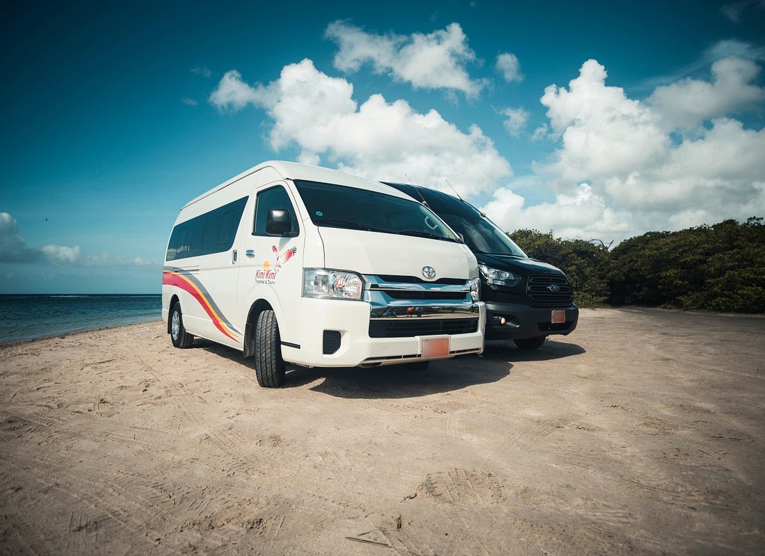Kini Kini Transfers Aruba Private Van Airport Transfer (6+)