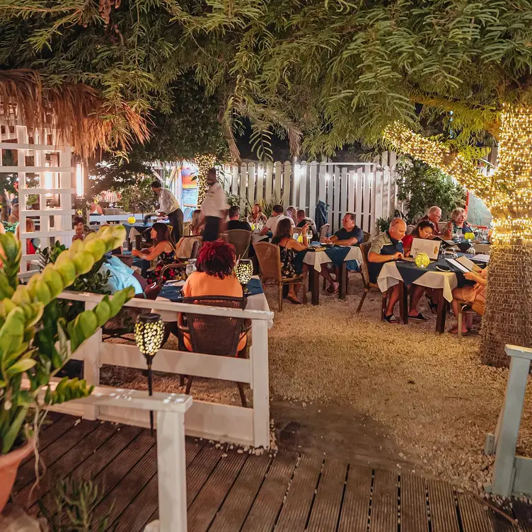 Madame Janette Aruba