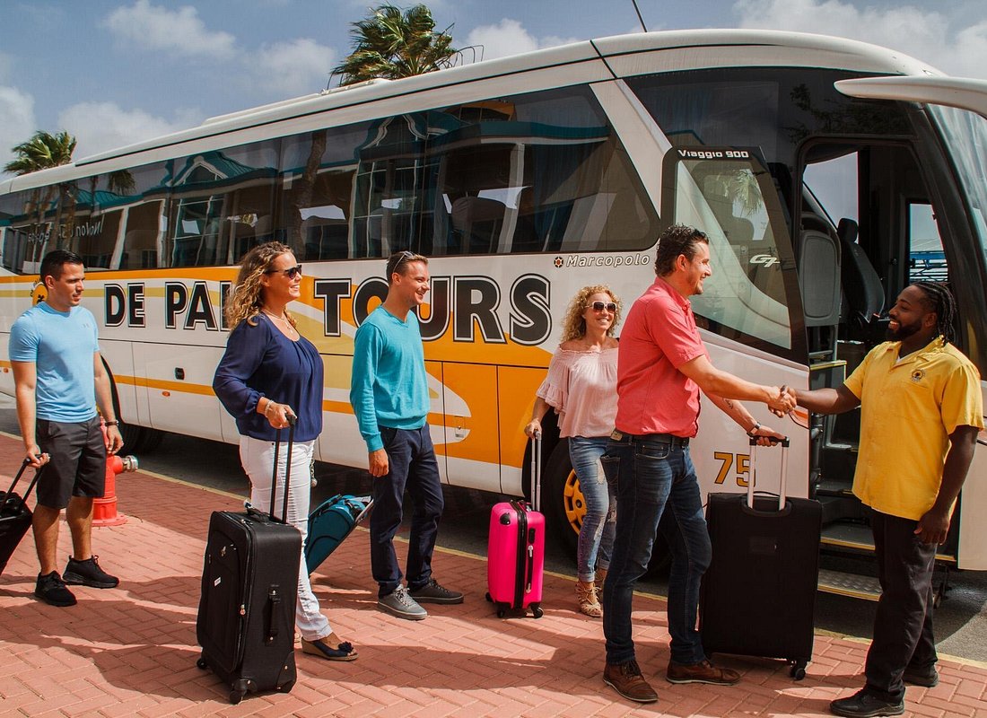 Palm Tours Round-Trip Aruba Airport Transfer