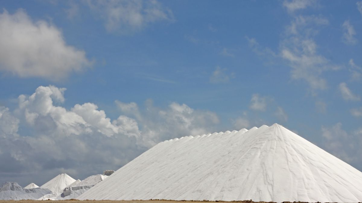 Bonaire salt flats