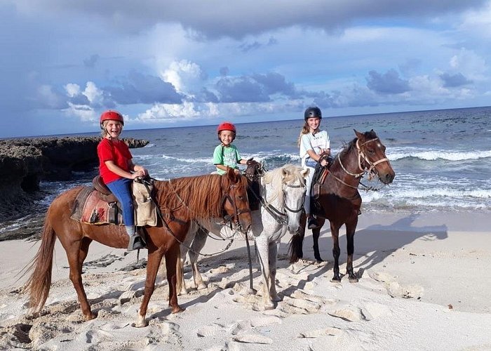 Aruba Countryside: Horseback Adventure to Urirama Cove in Aruba