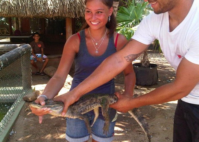 Half-Day Aruba Animal Sanctuary Guided Tour in Aruba