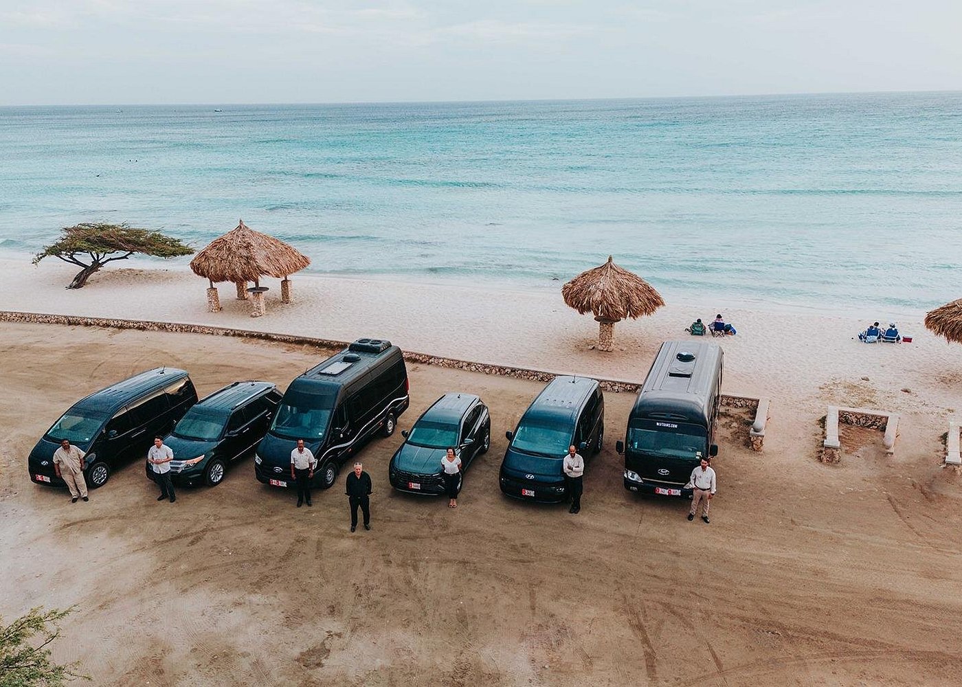 Private Tour Essential Tour of Aruba - Island highlights