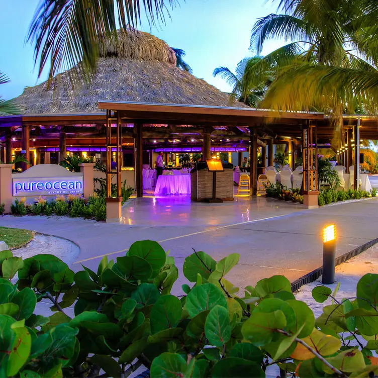 Featured image for Pureocean Restaurant Aruba