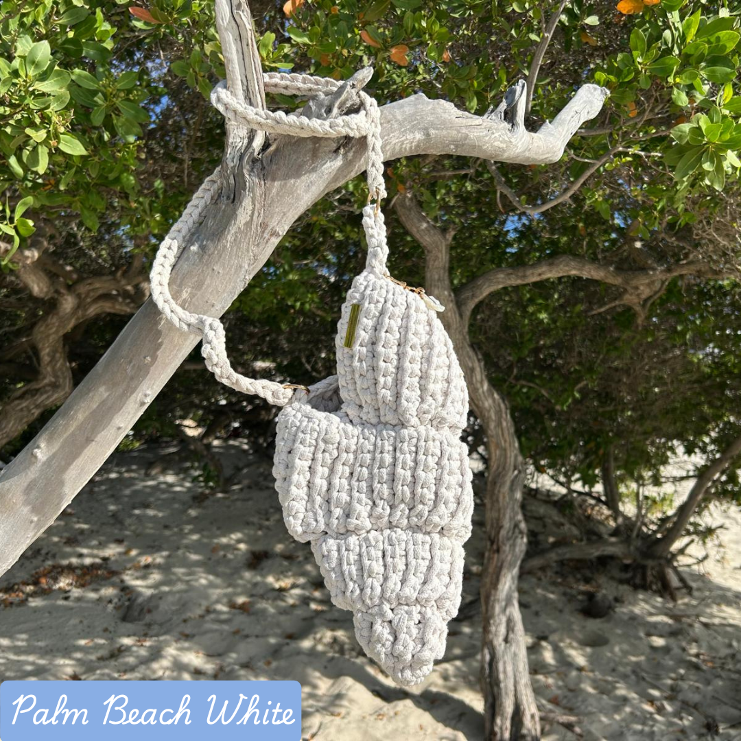 Palm Beach White Conch