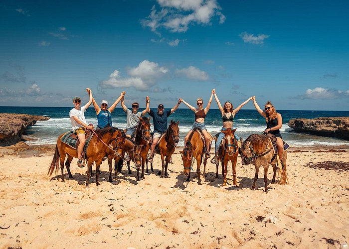 Aruba Ecological Horseback Ride