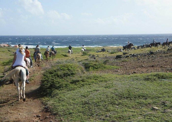 Aruba Horseback Riding Tour to Hidden Lagoon