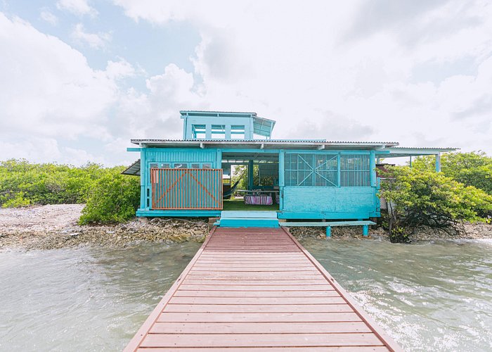 Full-Day Island Experience & Boat Tours in Aruba with Nos Isla