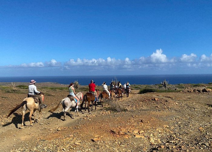 Horseback Ride Tour to Natural Pool in Arikok National Park