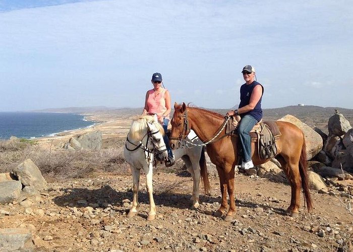 Sunset Horseback Ride in Aruba