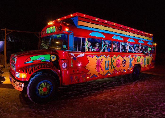 Kukoo Kunuku Party Bus party bus in Aruba